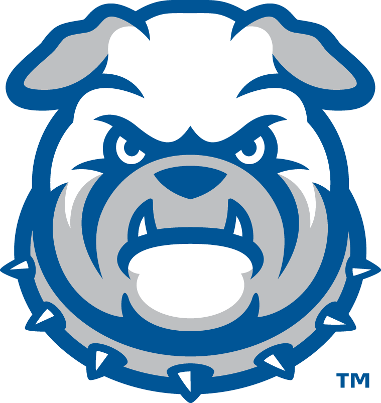 Drake Bulldogs 2015-Pres Wordmark Logo v6 diy DTF decal sticker